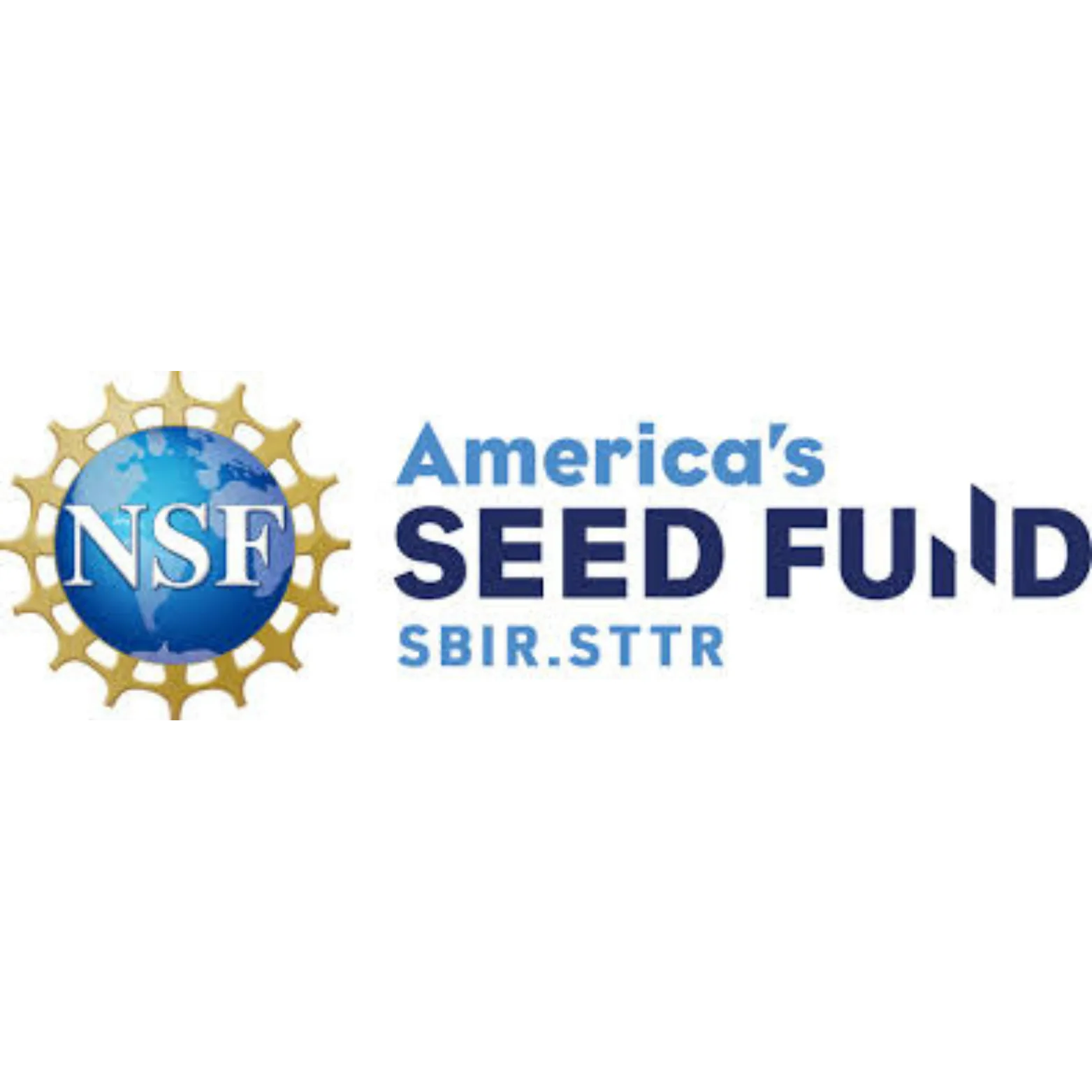 NSF logo_1762807851968-B5V75gjL