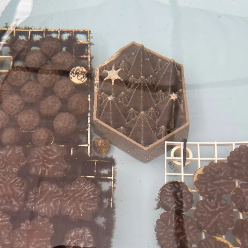 coral tile_1762878230955-B08dSmW6