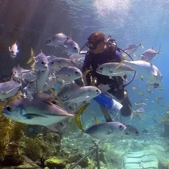 1516791605604_1762874427919-DulX8yd0