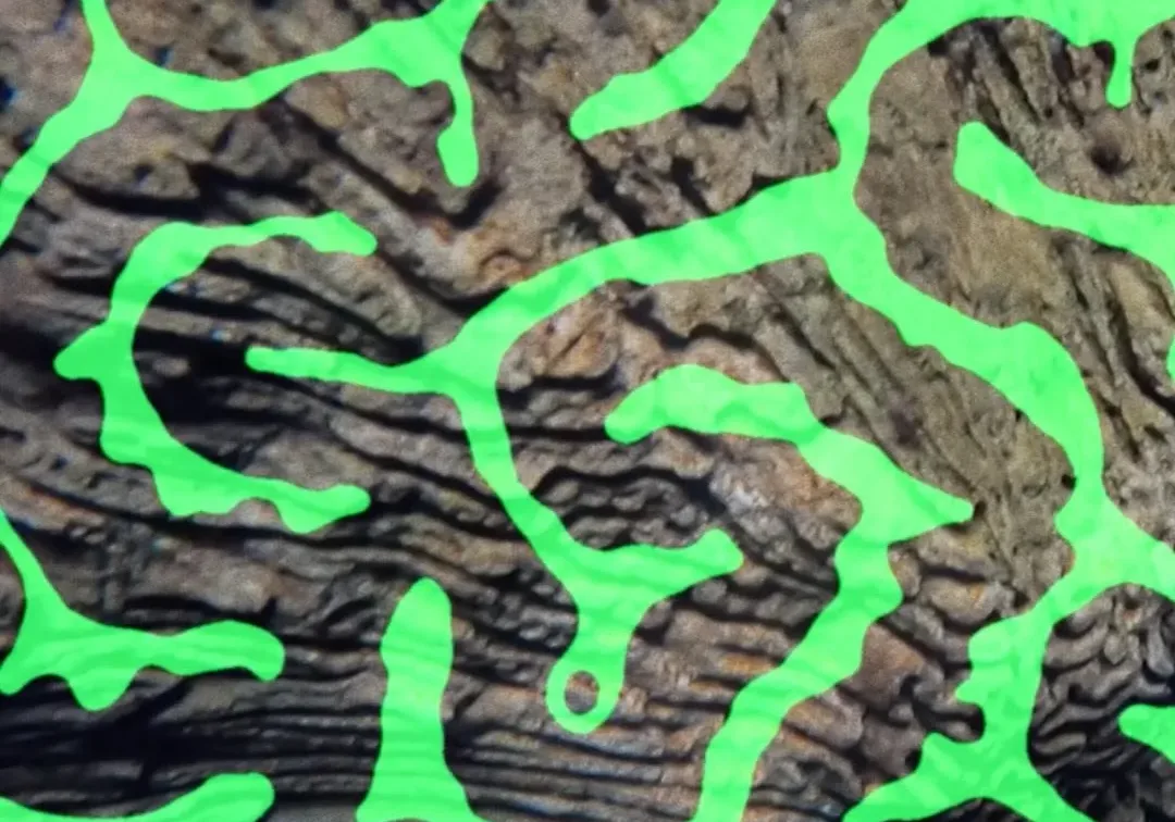 479435952_2050893908685738_5047959227550033236_n_1762874712470-BkopvOOh