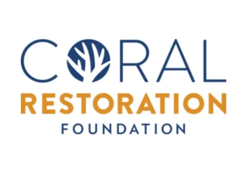 CRF_1762877180303-DbXz_qMX