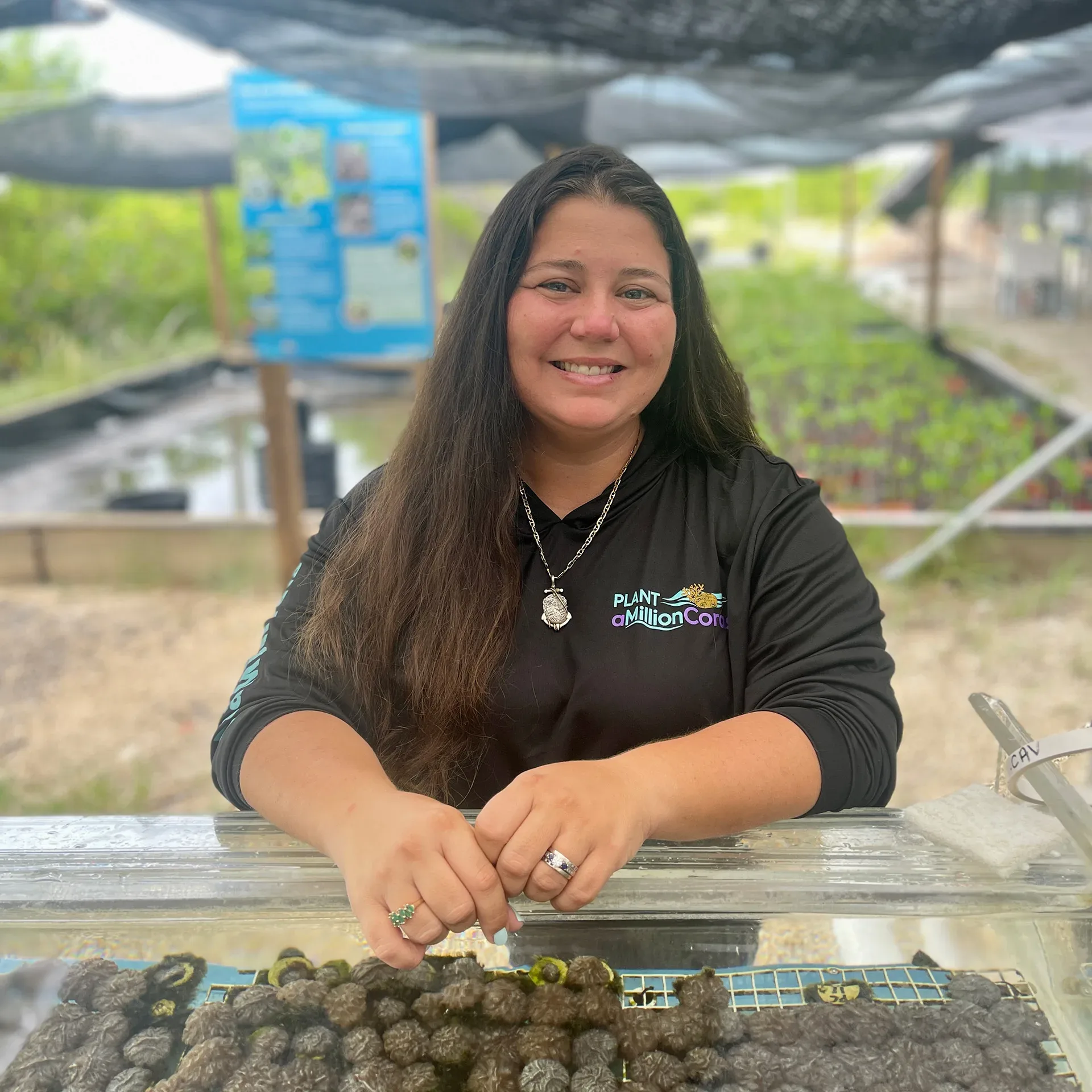 DDVS_1762874427919-Dreu0uL3